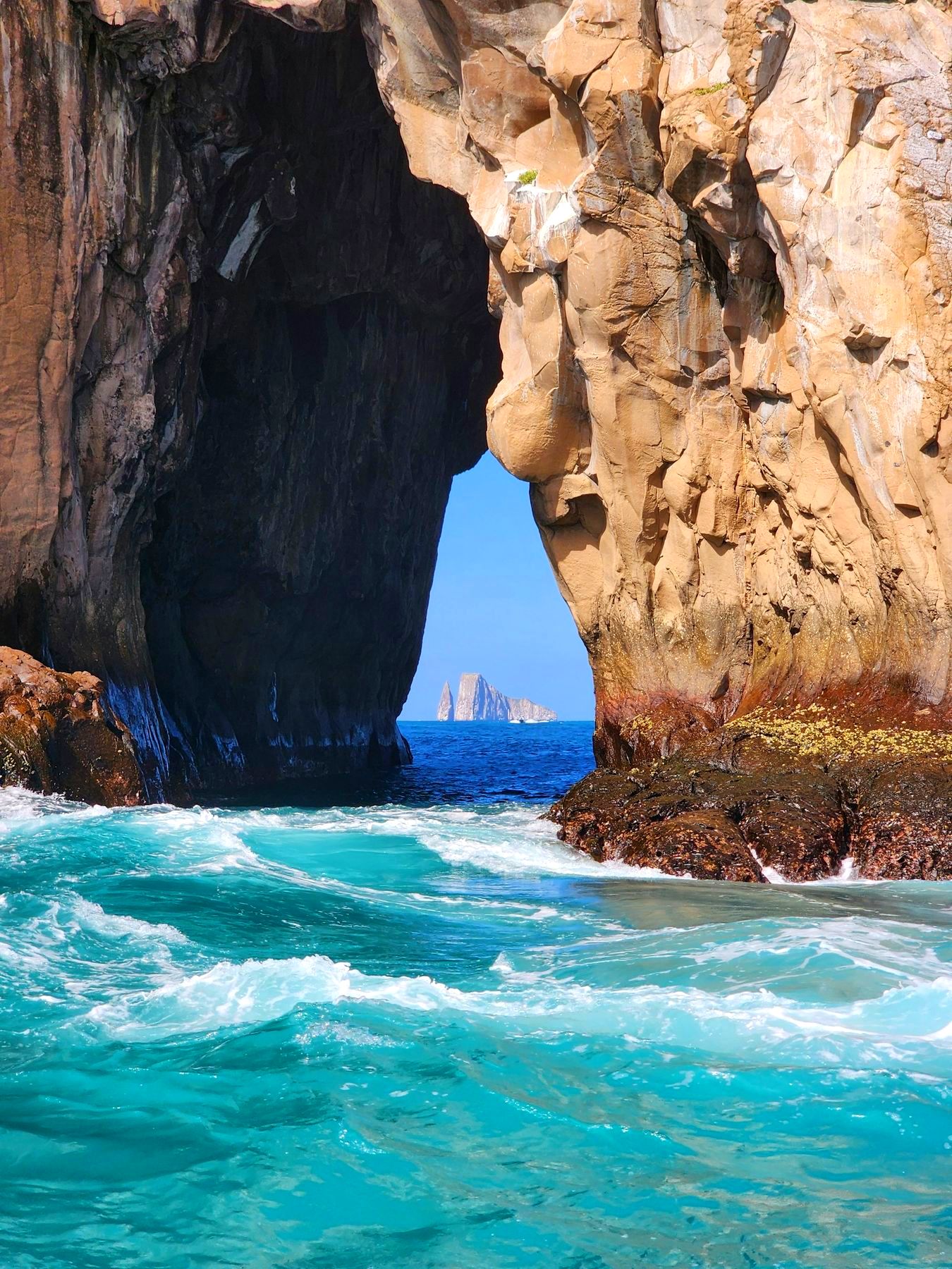 Galápagos a tu Alcance: 8 Días