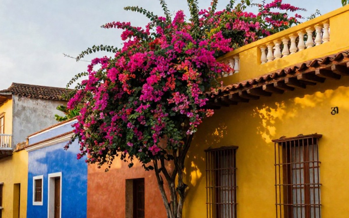 Caribe & Colombia